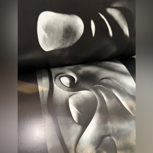 Gaudi- The Visionary Preface by Salvador Dali A Studio Book by Viking New York - Picture 14 of 16